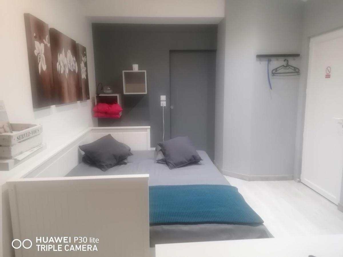 Petit Nid Douillet Apartman Reventin-Vaugris Kültér fotó